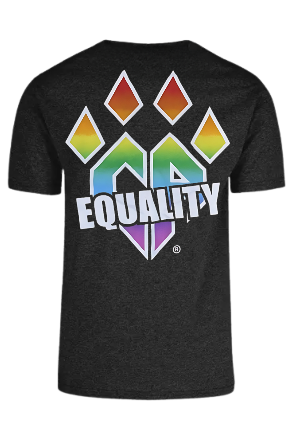PLAYERA CHEER ATHLETICS PRIDE EDICION ESPECIAL